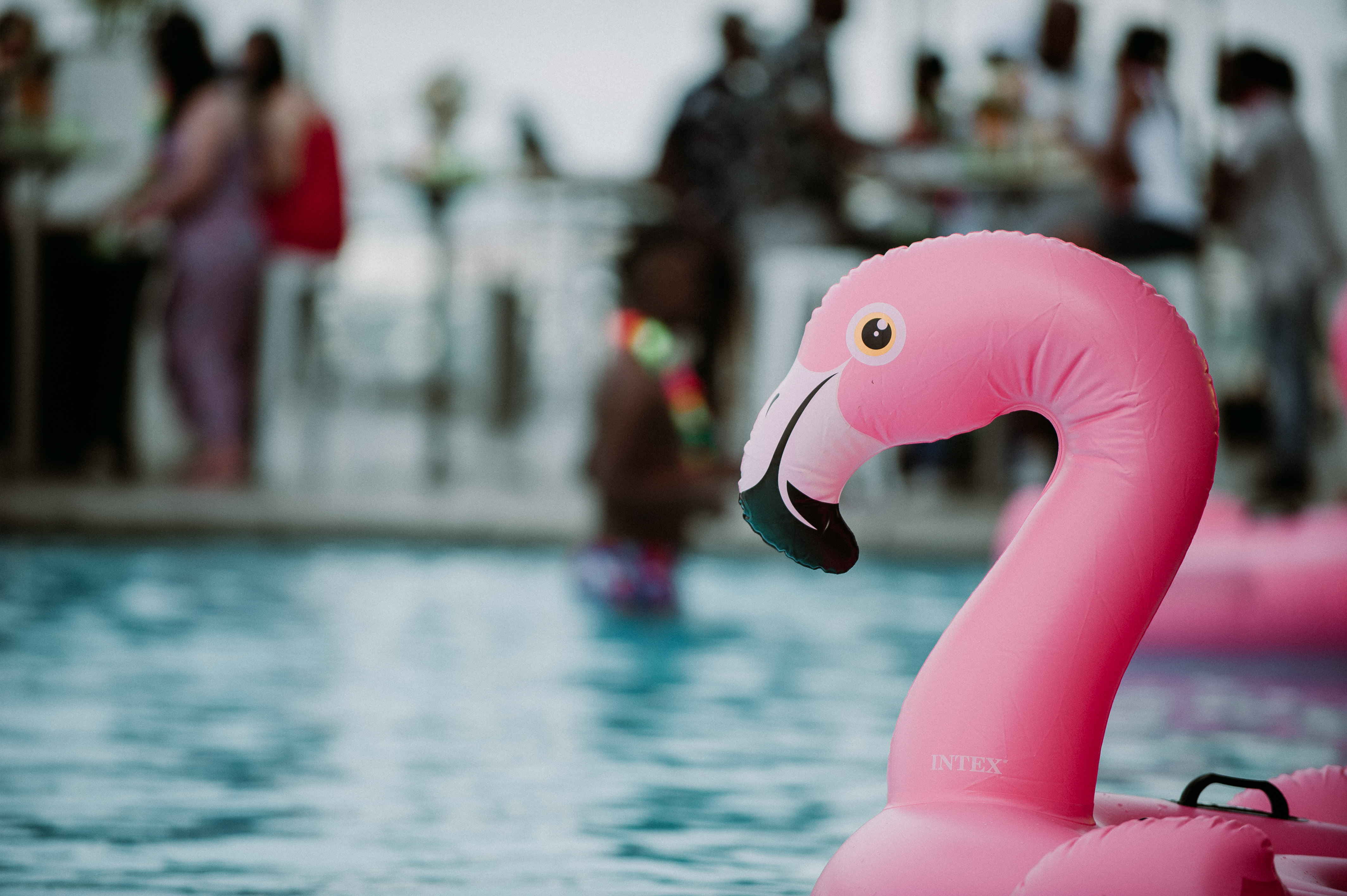 Corporate event photography Jackalberry SA photography